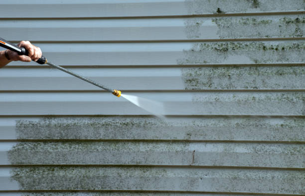 Best Mold Cleaning Services  in Murphys, CA