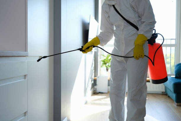 Best Mold Testing and Removal  in Murphys, CA