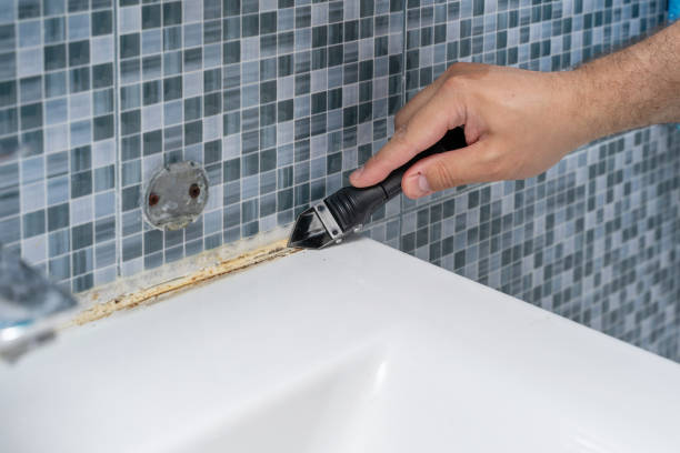 Best Affordable Mold Removal  in Murphys, CA